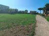 Terreno Agricolo in vendita a Ardea in via pavia - 04, Giardino