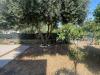 Appartamento in vendita a Pomezia in via mar ligure - 03, Giardino