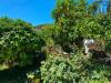 Villa in vendita con giardino a Ardea in via delle acacie - 10, Foto 10