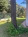Villa in vendita con giardino a Anzio in via delle petunie - 07, Foto 7