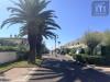 Casa indipendente in vendita con giardino a Ardea in via delle gorgonie - 04, Foto 4
