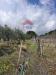 Terreno Agricolo in vendita a Trecastagni in via carpene 33 - 04, Foto 4