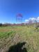 Terreno Agricolo in vendita a Trecastagni in via carpene 33 - 06, Foto 6