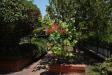 Villa in vendita con giardino a Pedara in via archimede 1 - 08, Foto 8