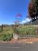 Terreno Agricolo in vendita a Trecastagni - 10, Foto 10