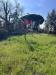 Terreno Agricolo in vendita a Trecastagni - 06, Foto 6