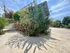 Villa in vendita con giardino a Alcamo in contrada bosco d'alcamo - 04, Foto 4