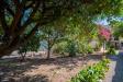 Appartamento in vendita con giardino a Vallecrosia in via romana traversa i 8 - 03, Foto 3