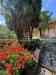 Villa in vendita con giardino a Massa - mirteto - 06