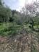 Villa in vendita a Imperia in via fanny roncati carli - 07, Foto 7