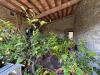 Rustico in vendita con giardino a Cavriglia in via della chiantigiana 300 - 04, Foto 4
