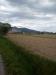 Terreno Agricolo in vendita a Cascina - san lorenzo a pagnatico - 02