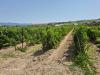 Terreno Agricolo in vendita a Quartu Sant'Elena in via is ammostus - 02, Foto 2