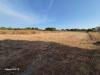 Terreno Agricolo in vendita a Quartu Sant'Elena - 04, Foto 4