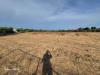 Terreno Agricolo in vendita a Quartu Sant'Elena - 06, Foto 6