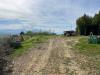 Terreno Agricolo in vendita a Tortoreto in via dell'acquedotto snc - 02, Foto 2
