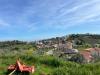 Terreno Agricolo in vendita a Tortoreto in via dell'acquedotto snc - 09, Foto 9