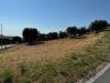 Terreno Agricolo in vendita a Tortoreto in contrada muracche - 10, Foto 10