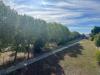 Appartamento in vendita a Alba Adriatica in via legnano 15 - 05, Foto 5