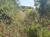 Terreno Agricolo in vendita a Messina - 05, 5.jpeg