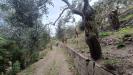 Terreno Agricolo in vendita a Messina - 06, 6.jpeg