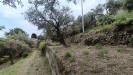 Terreno Agricolo in vendita a Messina - 07, 7.jpeg