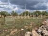 Terreno Agricolo in vendita a Chiaramonte Gulfi - 03, exec-4a94feee-7e73-4370-a266-5c7437d920b2.png