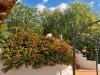 Villa in vendita con giardino a Chiaramonte Gulfi - 07, 06_Pergola-e-fiori.png