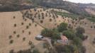 Terreno Agricolo in vendita a Massignano in contrada san pietro snc - 03, Foto 3
