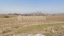Terreno Agricolo in vendita a Vinovo in frazione orelle snc - 02, Foto 2