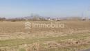 Terreno Agricolo in vendita a Vinovo in frazione orelle snc - 03, Foto 3