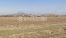 Terreno Agricolo in vendita a Vinovo in frazione orelle snc - 04, Foto 4