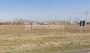 Terreno Agricolo in vendita a Vinovo in frazione orelle snc - 06, Foto 6
