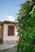 Casa indipendente in vendita con giardino a Vanzaghello in vicolo san paolo 9 - 04, Foto 4