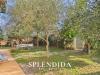 Villa in vendita con giardino a Montignoso - cinquale - 04