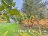 Villa in vendita con giardino a Montignoso - cinquale - 06