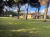 Villa in affitto arredato a Pietrasanta - marina di - 03