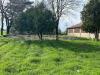 Rustico in vendita da ristrutturare a Ostiglia in strada fossato novo pedemonta 3 - 03, giardino (2)