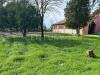 Rustico in vendita da ristrutturare a Ostiglia in strada fossato novo pedemonta 3 - 04, giardino (3)
