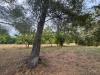 Rustico in vendita con giardino a Macerata - 06, a66dc2bd-5ce8-4800-b766-608b5f95b097.jpg