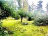 Appartamento in vendita con giardino a Fondi in via flacca 123 - 05, a53e1a4a-5cd4-453a-995b-403950597939.jpg