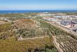 Terreno Agricolo in vendita a Molfetta - 02, Foto 2