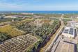Terreno Agricolo in vendita a Molfetta - 03, Foto 3