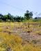 Terreno Agricolo in vendita da ristrutturare a Augusta in lungomare agnone bagni - 02, WhatsApp Image 2026-07-31 at 17.15.35 (1)