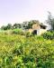 Terreno Agricolo in vendita da ristrutturare a Augusta in lungomare agnone bagni - 03, WhatsApp Image 2026-07-31 at 17.15.35 (2)