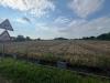 Terreno Agricolo in vendita a Palazzolo sull'Oglio - 03, Foto 3