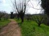 Terreno Agricolo in vendita a Fara Vicentino - 02, gabetti vendita terr. agr. Fara 366.jpg