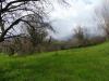 Terreno Agricolo in vendita a Fara Vicentino - 04, gabetti vendita terr. agr. Fara 379.jpg