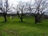 Terreno Agricolo in vendita a Fara Vicentino - 03, gabetti vendita terr. agr. Fara 370.jpg