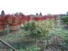 Terreno Edificabile in vendita a Schiavon - 03, gabetti vendita terreno Schiavon 1.jpg